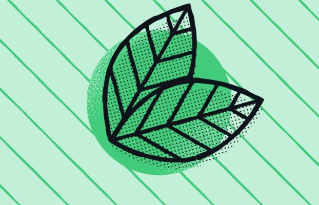 A 30-Day Wellness Challenge