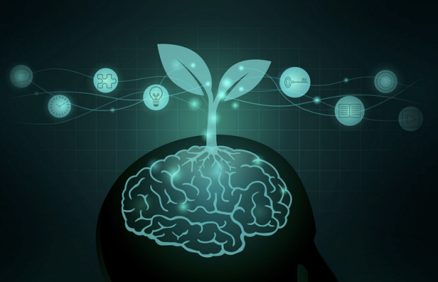 Cultivating a Positive Mindset for a Healthier Future